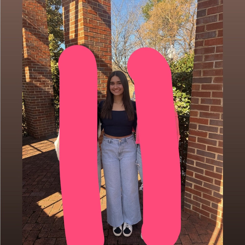 American Eagle Outfitters Light Blue Flare Jeans